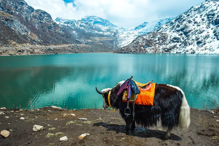 Sikkim Image 3